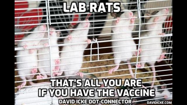 Lab Rats – That’s All You Are If You Have The Vaccine – David Icke Dot-Connector Videocast